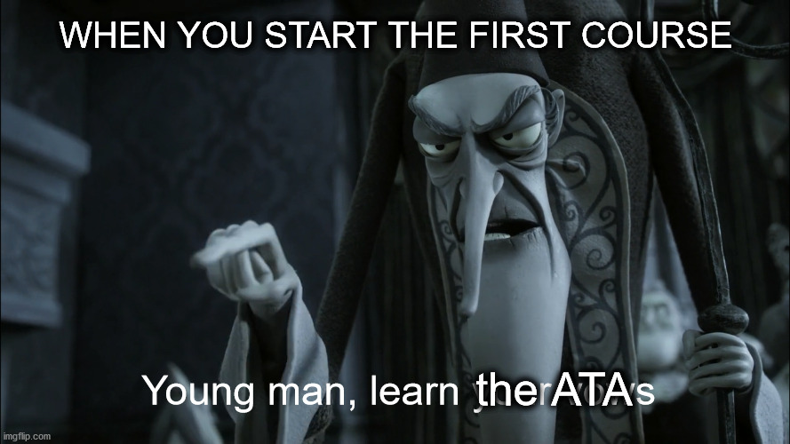 Young man, learn the ATAs | WHEN YOU START THE FIRST COURSE; the ATA; Young man, learn your vows | image tagged in young man learn your vows,tma,aircraft,maintenance | made w/ Imgflip meme maker