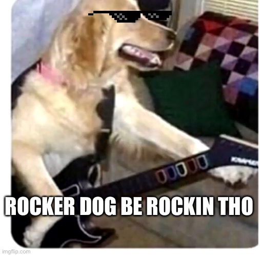 Rocker dog | ROCKER DOG BE ROCKIN THO | image tagged in dogs | made w/ Imgflip meme maker
