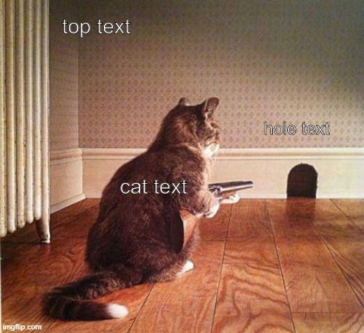 cat with gun | top text; hole text; cat text | image tagged in cat memes | made w/ Imgflip meme maker