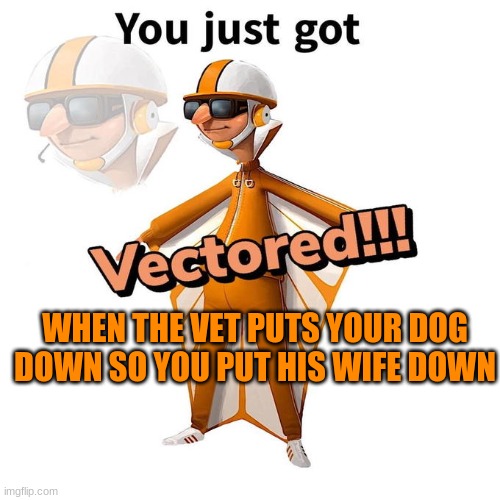 You just got Vectored | WHEN THE VET PUTS YOUR DOG DOWN SO YOU PUT HIS WIFE DOWN | image tagged in you just got vectored | made w/ Imgflip meme maker