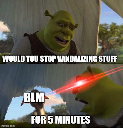 Shrek For Five Minutes | WOULD YOU STOP VANDALIZING STUFF; BLM; FOR 5 MINUTES | image tagged in shrek for five minutes | made w/ Imgflip meme maker