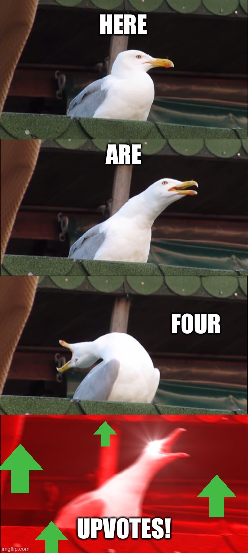 When you give them four upvotes. | HERE; ARE; FOUR; UPVOTES! | image tagged in memes,inhaling seagull,upvotes,upvote,imgflip humor,meanwhile on imgflip | made w/ Imgflip meme maker