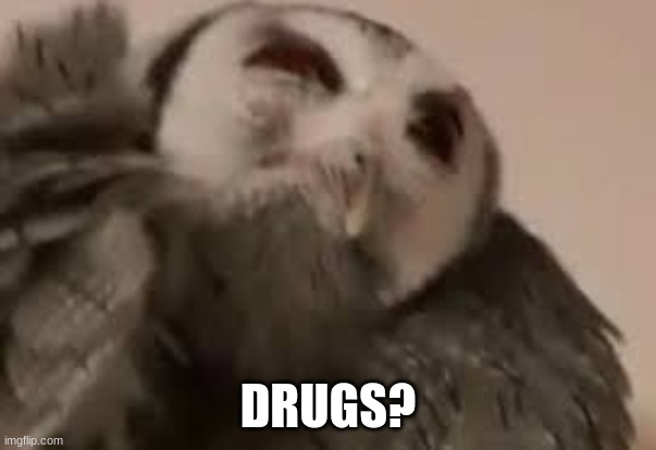 DRUGS? | made w/ Imgflip meme maker