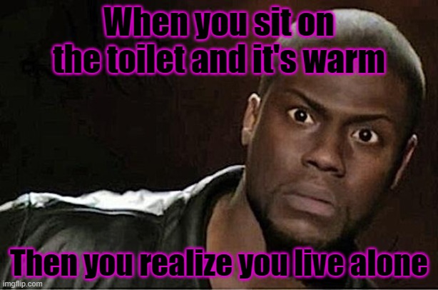Kevin Hart | When you sit on the toilet and it's warm; Then you realize you live alone | image tagged in memes,kevin hart | made w/ Imgflip meme maker