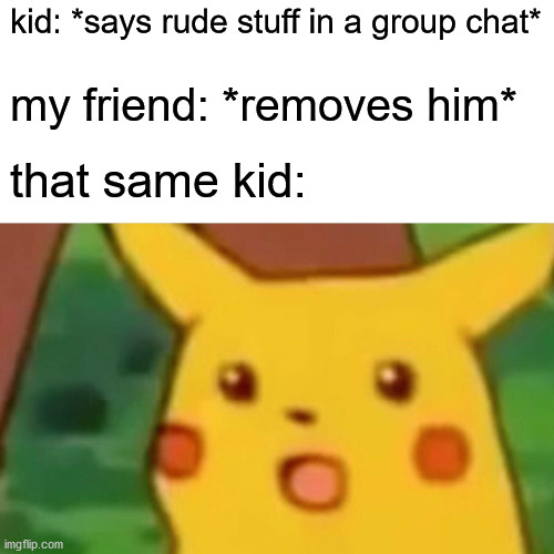 Surprised Pikachu Meme | kid: *says rude stuff in a group chat*; my friend: *removes him*; that same kid: | image tagged in memes,surprised pikachu | made w/ Imgflip meme maker