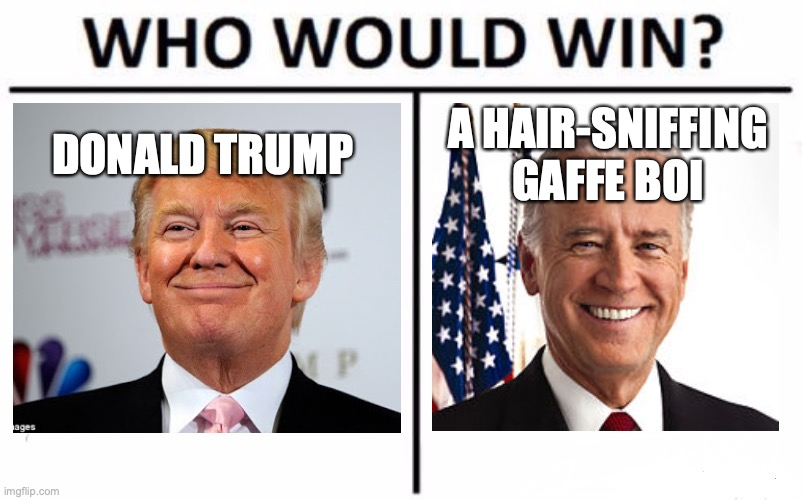 Who Would Win? | DONALD TRUMP; A HAIR-SNIFFING GAFFE BOI | image tagged in memes,who would win | made w/ Imgflip meme maker