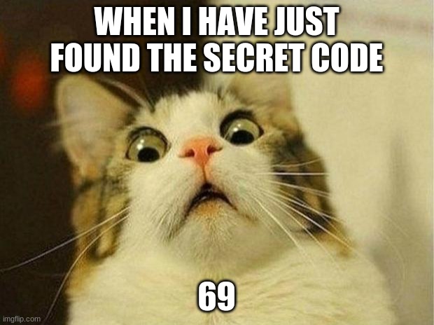 Scared Cat | WHEN I HAVE JUST FOUND THE SECRET CODE; 69 | image tagged in memes,scared cat | made w/ Imgflip meme maker