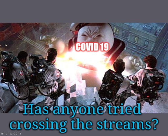 Ghost Busters | COVID 19; Has anyone tried 
crossing the streams? | image tagged in ghost busters | made w/ Imgflip meme maker