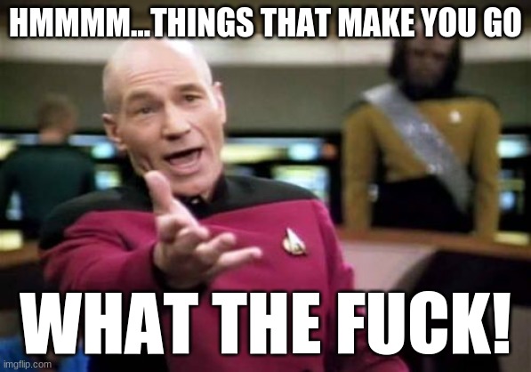 Picard Wtf Meme | HMMMM...THINGS THAT MAKE YOU GO WHAT THE FUCK! | image tagged in memes,picard wtf | made w/ Imgflip meme maker