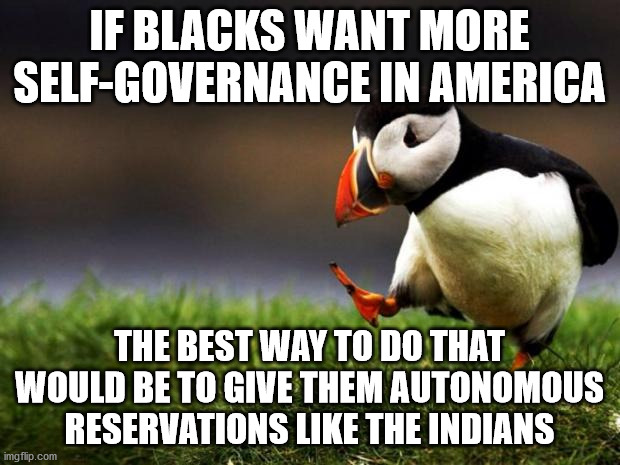 Unpopular Opinion Puffin Meme | IF BLACKS WANT MORE SELF-GOVERNANCE IN AMERICA; THE BEST WAY TO DO THAT WOULD BE TO GIVE THEM AUTONOMOUS RESERVATIONS LIKE THE INDIANS | image tagged in memes,unpopular opinion puffin,black people,america,government,black lives matter | made w/ Imgflip meme maker