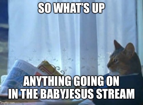Sup |  SO WHAT’S UP; ANYTHING GOING ON IN THE BABYJESUS STREAM | image tagged in memes,i should buy a boat cat | made w/ Imgflip meme maker