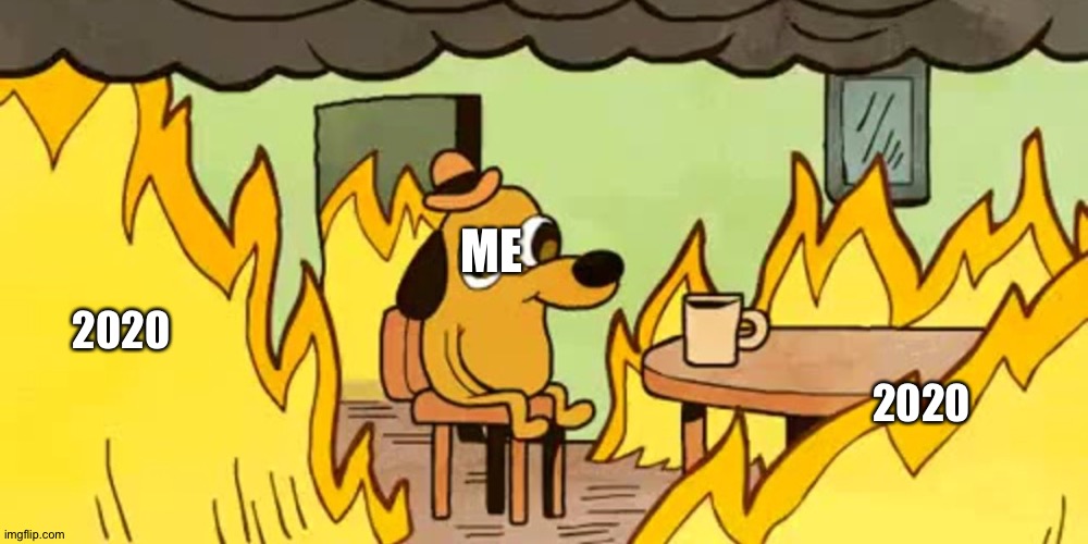 Dog on fire | ME; 2020; 2020 | image tagged in dog on fire | made w/ Imgflip meme maker