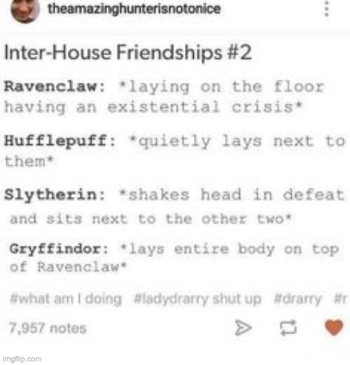 Is it bad that I am several of these? | image tagged in slytherin,gryffindor,hufflepuff,ravenclaw,the tags are important,houses | made w/ Imgflip meme maker