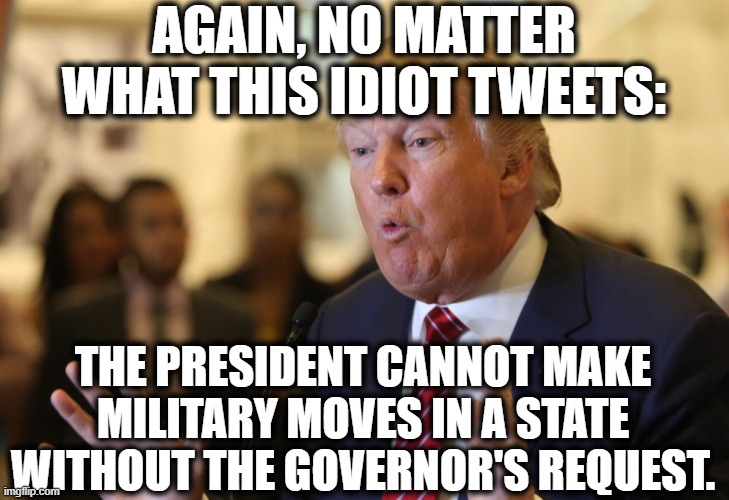 Can someone plz tell Trump to stfu already? | AGAIN, NO MATTER WHAT THIS IDIOT TWEETS:; THE PRESIDENT CANNOT MAKE MILITARY MOVES IN A STATE WITHOUT THE GOVERNOR'S REQUEST. | image tagged in donald trump,constitution,governor,military,protesters,united states | made w/ Imgflip meme maker
