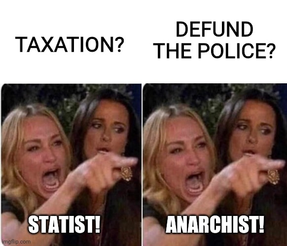 DEFUND THE POLICE? TAXATION? STATIST!                  ANARCHIST! | made w/ Imgflip meme maker