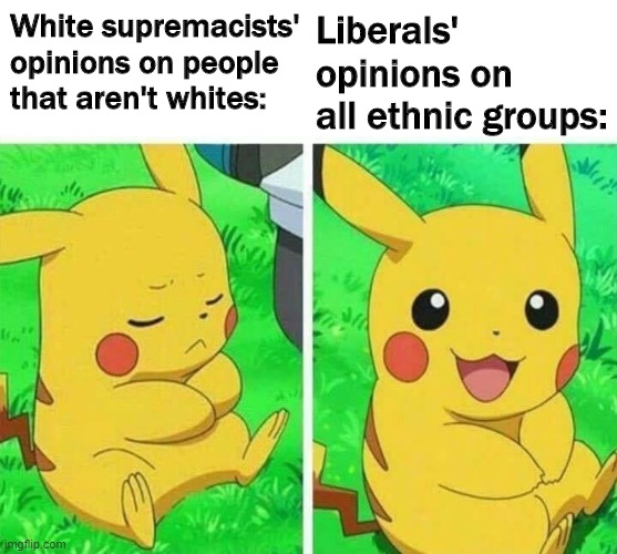 White Supremacists vs. Liberals | White supremacists' opinions on people that aren't whites:; Liberals' opinions on all ethnic groups: | image tagged in pikachu,memes,white supremacists,liberals,no racism | made w/ Imgflip meme maker