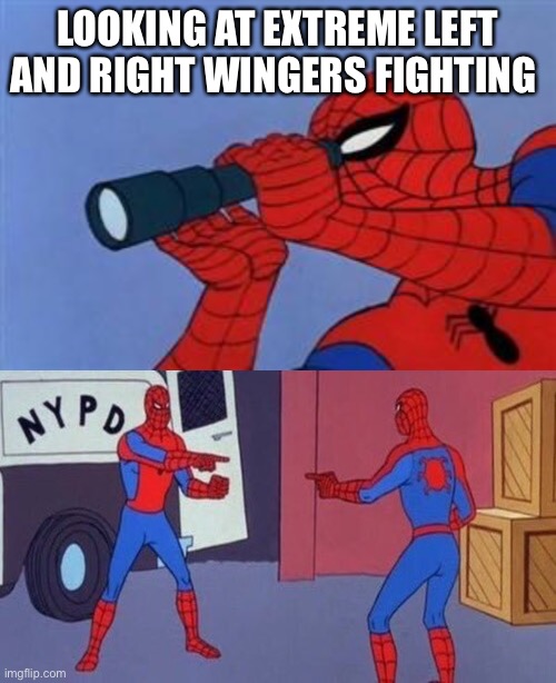 Extremists | LOOKING AT EXTREME LEFT AND RIGHT WINGERS FIGHTING | image tagged in telescope spider-man,spiderman pointing at spiderman | made w/ Imgflip meme maker