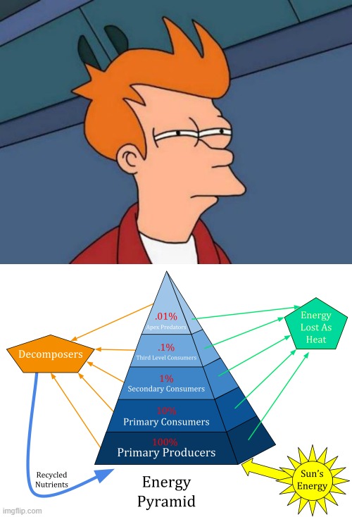 when you're on top but don't know it | image tagged in memes,futurama fry | made w/ Imgflip meme maker