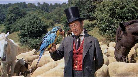 Doctor Dolittle Blank Meme Template