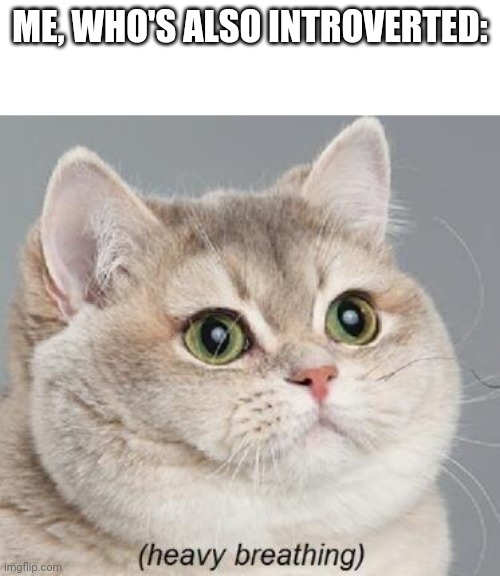 Heavy Breathing Cat Meme | ME, WHO'S ALSO INTROVERTED: | image tagged in memes,heavy breathing cat | made w/ Imgflip meme maker