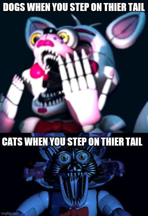 Tails | DOGS WHEN YOU STEP ON THIER TAIL; CATS WHEN YOU STEP ON THIER TAIL | image tagged in funtime foxy jumpscare fnaf sister location,o fnaf sl,funtime foxy,fnaf,dogs,cats | made w/ Imgflip meme maker