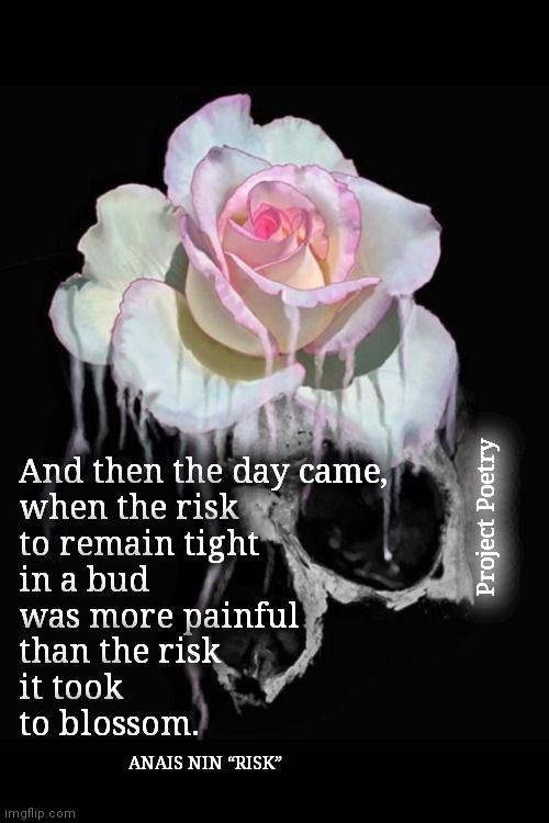 Project Poetry | And then the day came,
when the risk
to remain tight
in a bud
was more painful
than the risk
it took
to blossom. Project Poetry; ANAIS NIN “RISK” | image tagged in risk,poem,art | made w/ Imgflip meme maker