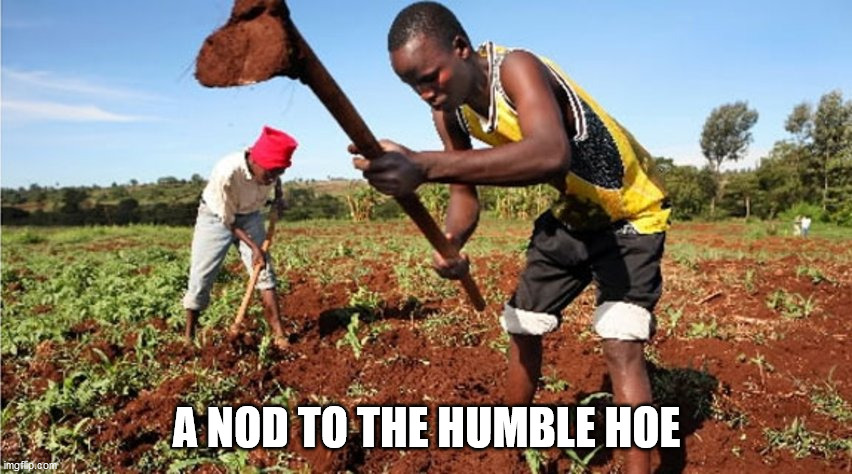 A NOD TO THE HUMBLE HOE | image tagged in humble hoes | made w/ Imgflip meme maker
