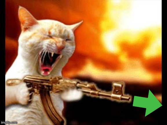 cat with gun | image tagged in cat with gun | made w/ Imgflip meme maker