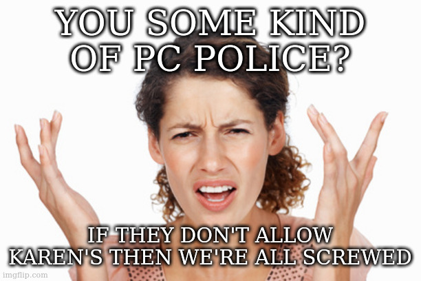 Indignant | YOU SOME KIND OF PC POLICE? IF THEY DON'T ALLOW KAREN'S THEN WE'RE ALL SCREWED | image tagged in indignant | made w/ Imgflip meme maker