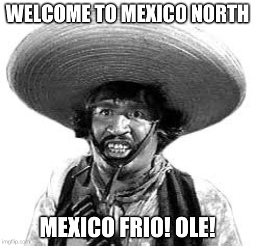 Badges we dont need no stinking badges | WELCOME TO MEXICO NORTH MEXICO FRIO! OLE! | image tagged in badges we dont need no stinking badges | made w/ Imgflip meme maker