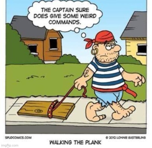 It's a repost from 'comics'. (I got permission.) | image tagged in pirate,pirates,repost,funny,walking the plank,memes | made w/ Imgflip meme maker