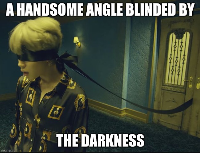 BTS Blindfolds | A HANDSOME ANGLE BLINDED BY; THE DARKNESS | image tagged in bts blindfolds | made w/ Imgflip meme maker