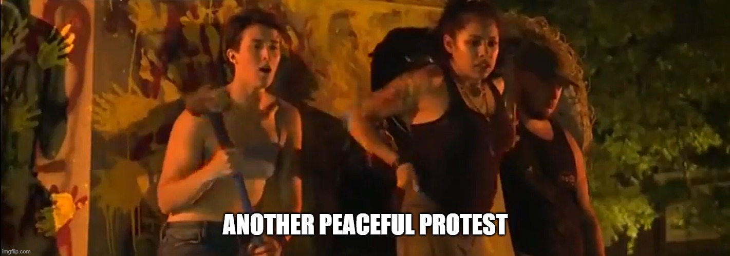 Peaceful Protest | ANOTHER PEACEFUL PROTEST | image tagged in peaceful protest | made w/ Imgflip meme maker