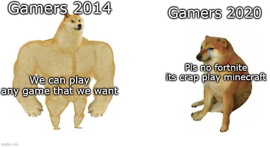 Buff Doge vs Crying Cheems | Gamers 2014; Gamers 2020; Pls no fortnite its crap play minecraft; We can play any game that we want | image tagged in buff doge vs crying cheems | made w/ Imgflip meme maker