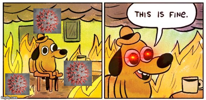 2020 be like | image tagged in memes,this is fine | made w/ Imgflip meme maker