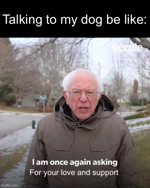 Bernie Wants Love And support | Talking to my dog be like:; For your love and support | image tagged in memes,bernie i am once again asking for your support | made w/ Imgflip meme maker