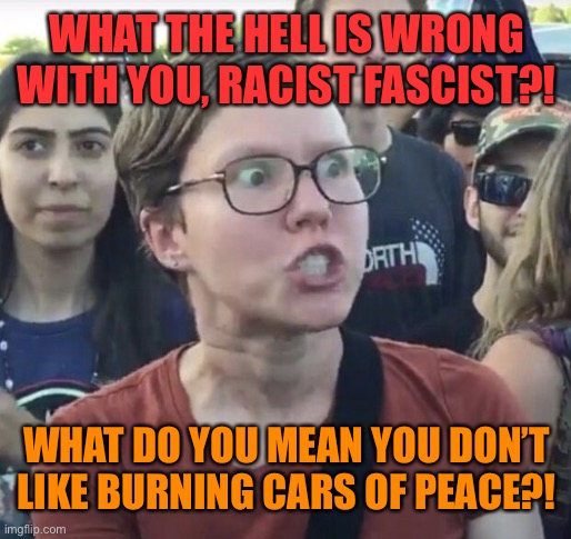 Triggered feminist | WHAT THE HELL IS WRONG WITH YOU, RACIST FASCIST?! WHAT DO YOU MEAN YOU DON’T LIKE BURNING CARS OF PEACE?! | image tagged in riots,burning,cars,protest,antifa,black lives matter | made w/ Imgflip meme maker