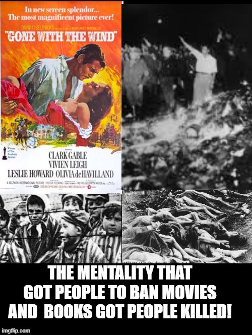 The mentality that got people to ban movies and  books got people killed! | THE MENTALITY THAT GOT PEOPLE TO BAN MOVIES AND  BOOKS GOT PEOPLE KILLED! | image tagged in stupid liberals,democrats | made w/ Imgflip meme maker