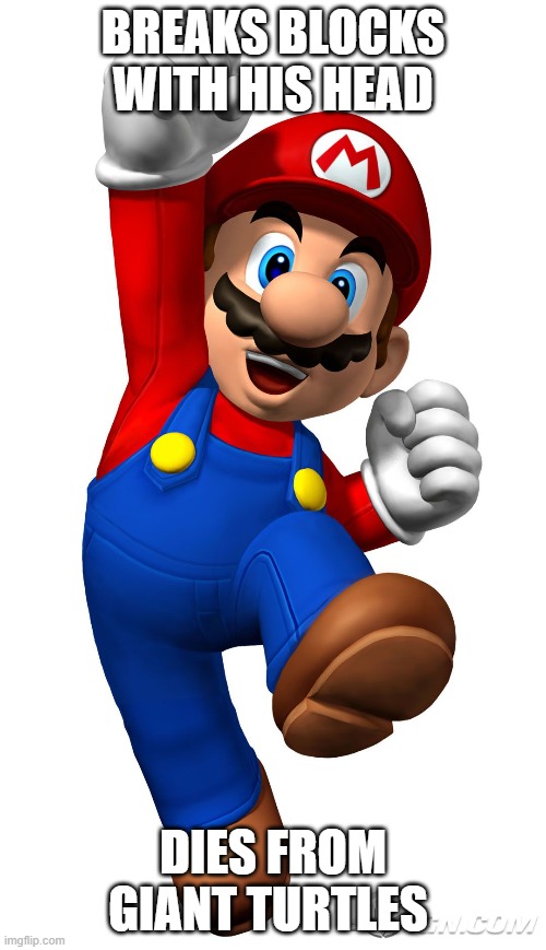 mario | BREAKS BLOCKS WITH HIS HEAD; DIES FROM GIANT TURTLES (ಥ﹏ಥ) | image tagged in super mario | made w/ Imgflip meme maker