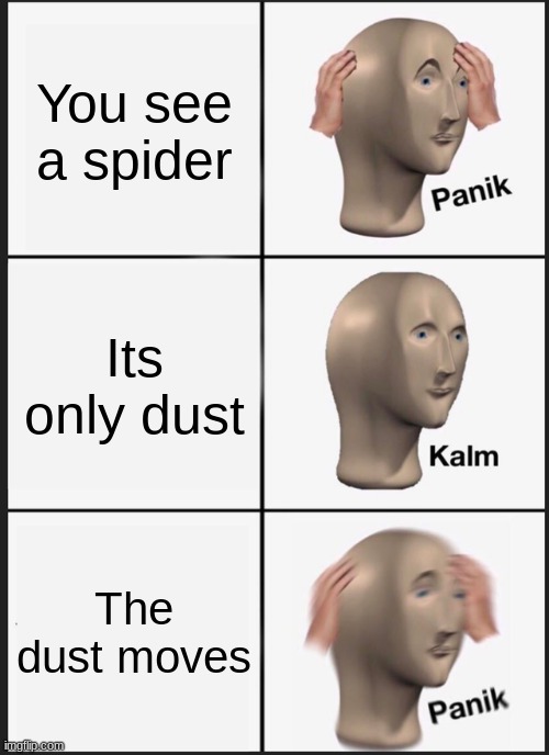 Panik Kalm Panik | You see a spider; Its only dust; The dust moves | image tagged in memes,panik kalm panik | made w/ Imgflip meme maker