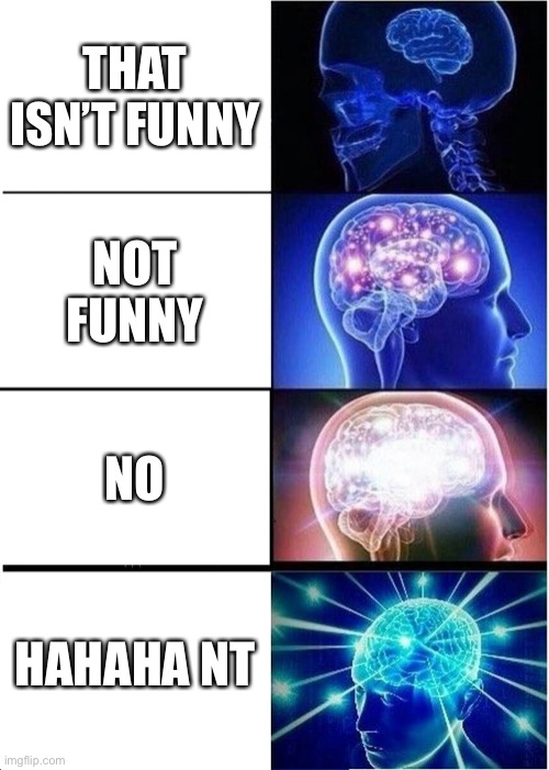 Meme | THAT ISN’T FUNNY; NOT FUNNY; NO; HAHAHA NT | image tagged in memes,expanding brain | made w/ Imgflip meme maker