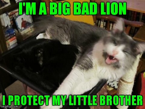 I'M A BIG BAD LION I PROTECT MY LITTLE BROTHER | image tagged in smokey/mister | made w/ Imgflip meme maker