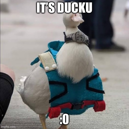 Ducku :0 |  IT’S DUCKU; :0 | made w/ Imgflip meme maker