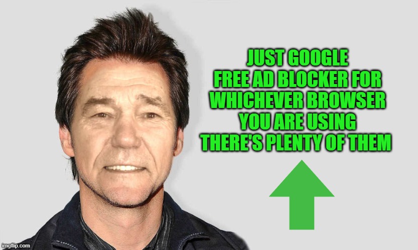 lou carey | JUST GOOGLE FREE AD BLOCKER FOR WHICHEVER BROWSER YOU ARE USING THERE'S PLENTY OF THEM | image tagged in lou carey | made w/ Imgflip meme maker