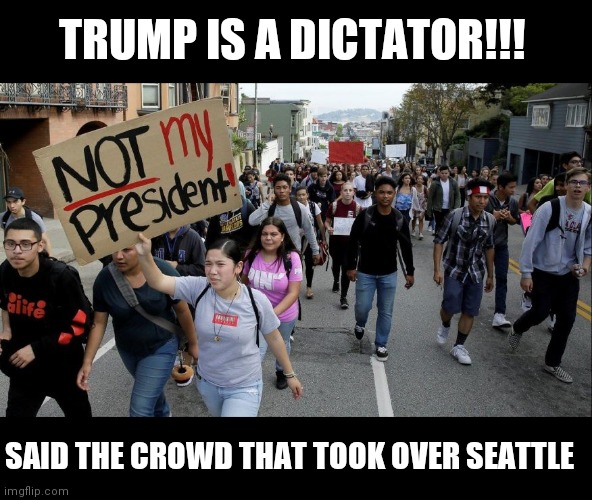 protesters | TRUMP IS A DICTATOR!!! SAID THE CROWD THAT TOOK OVER SEATTLE | image tagged in protesters | made w/ Imgflip meme maker