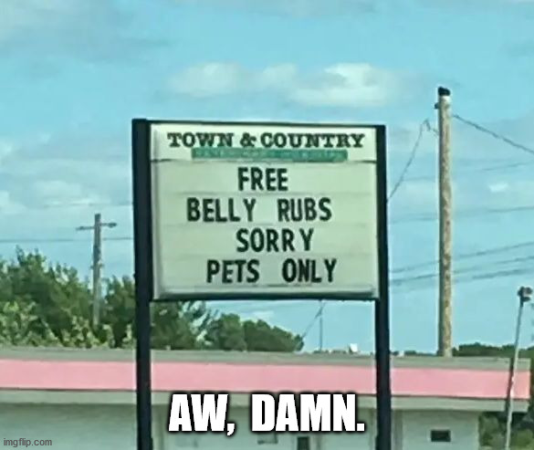 Free belly rubs | AW,  DAMN. | image tagged in pets,funny,memes,signs,free,sorry | made w/ Imgflip meme maker