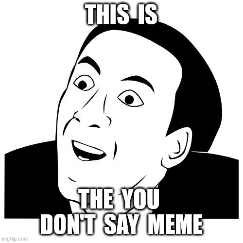 you don't say | THIS  IS THE  YOU  DON'T  SAY  MEME | image tagged in you don't say | made w/ Imgflip meme maker