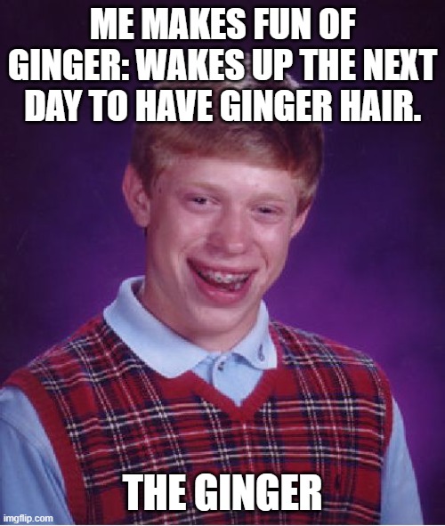AH SHIT BOREDUM | ME MAKES FUN OF GINGER: WAKES UP THE NEXT DAY TO HAVE GINGER HAIR. THE GINGER | image tagged in memes,bad luck brian | made w/ Imgflip meme maker