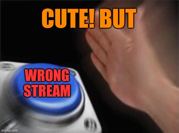 Blank Nut Button Meme | CUTE! BUT WRONG STREAM | image tagged in memes,blank nut button | made w/ Imgflip meme maker