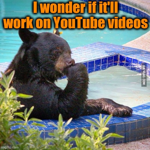 Ponder bear | I wonder if it'll work on YouTube videos | image tagged in ponder bear | made w/ Imgflip meme maker